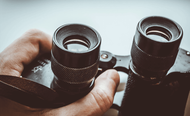 Looking for a New Accounting and Finance Role