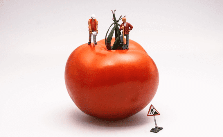 How To Use Tomatoes To Explode Your Efficiency