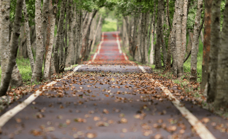 The Hiring Lesson I Learned On The Road to Mandalay