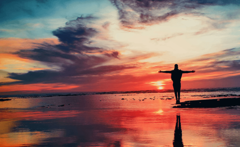 The Contractor Checklist