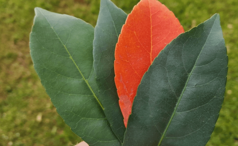 You Will Have A Problem With This Position