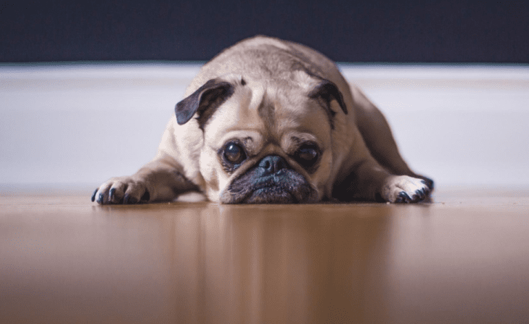 When It All Hits The Fan