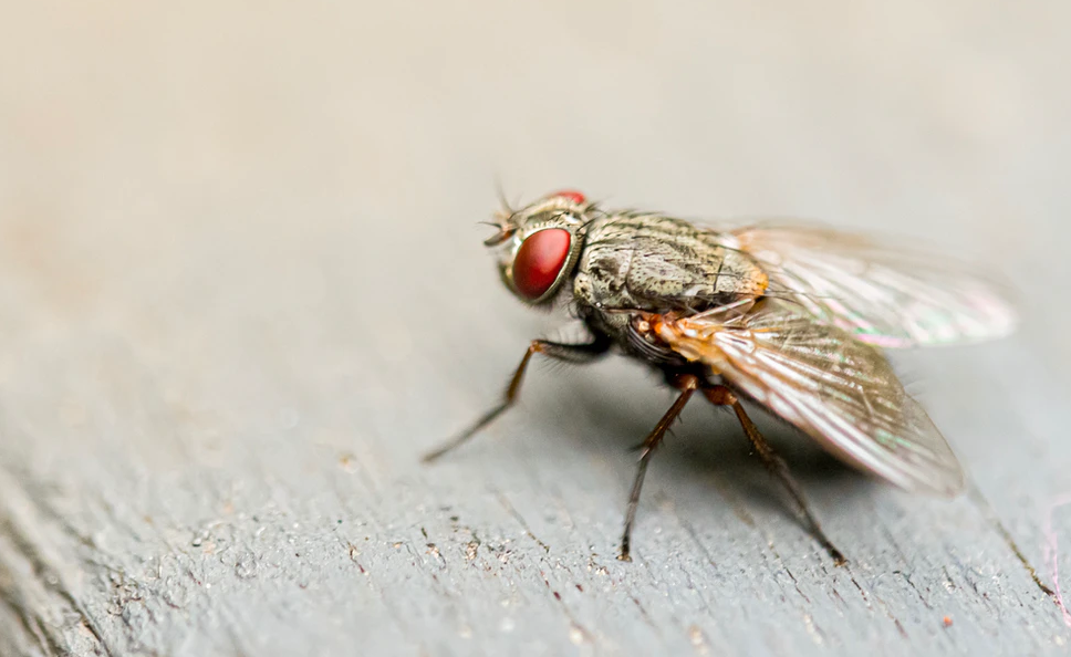 Job Search Lessons From A Fly On The Wall Of A Recruitment Office